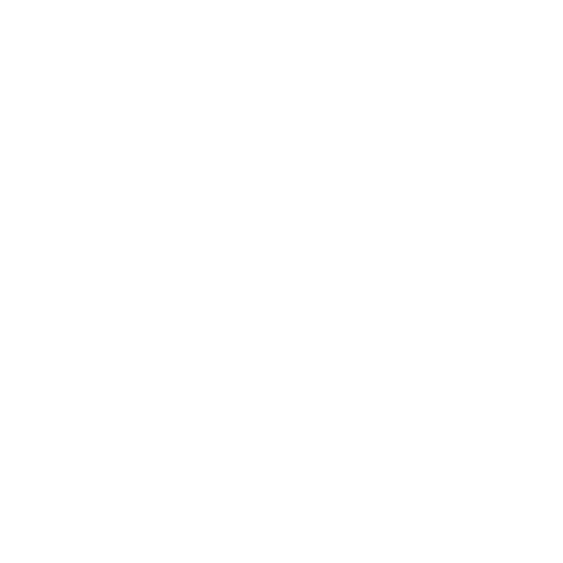 Experience why our unmatched precision and craftsmanship make us the preferred choice by Royals and VVIPs.